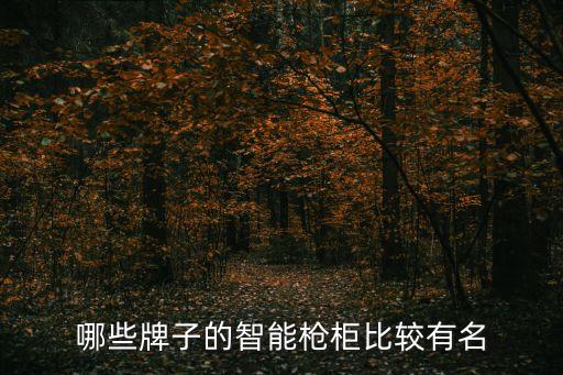 哪些牌子的智能枪柜比较有名