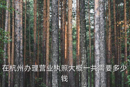 在杭州办理营业执照大概一共需要多少钱