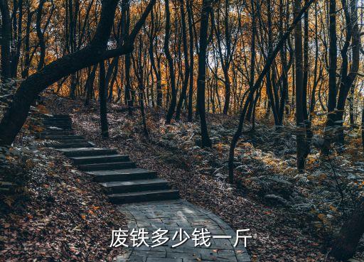 废铁多少钱一斤