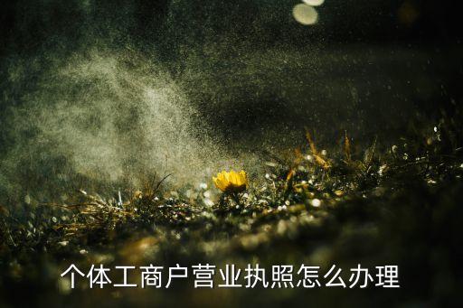 个体工商户营业执照怎么办理