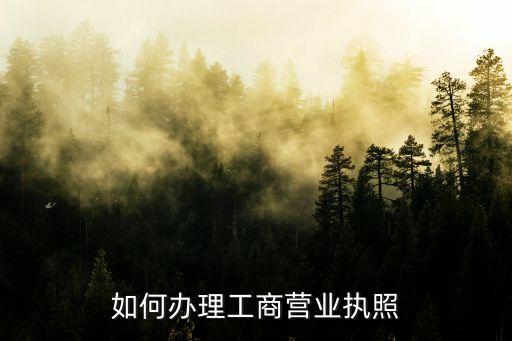 如何办理工商营业执照