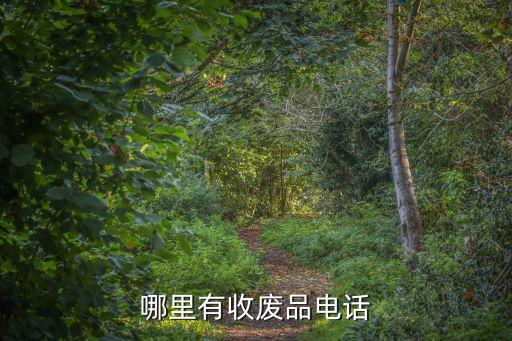 哪里有收废品电话