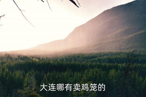 大连哪有卖鸡笼的