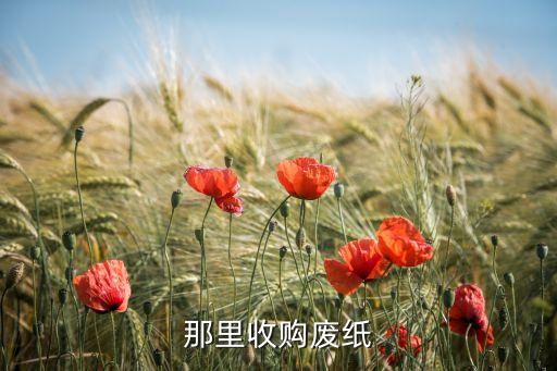 南充废纸回收，1953的纸钱南充那收