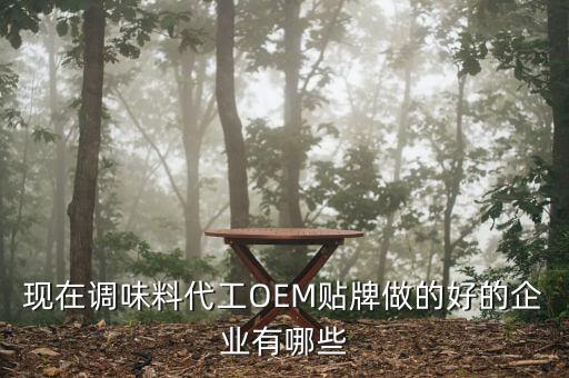 现在调味料代工OEM贴牌做的好的企业有哪些
