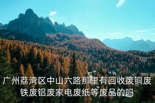 广州荔湾区中山六路那里有回收废铜废铁废铝废家电废纸等废品的吗