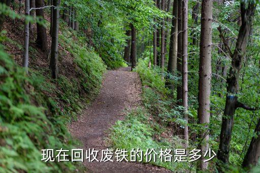 现在回收废铁的价格是多少
