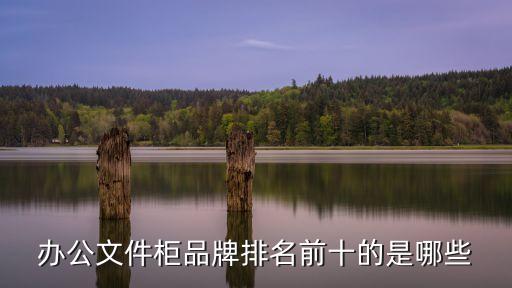 办公文件柜品牌排名前十的是哪些