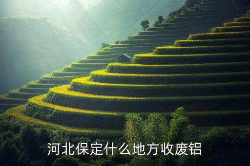 河北保定什么地方收废铝
