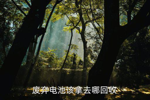 废弃电池该拿去哪回收