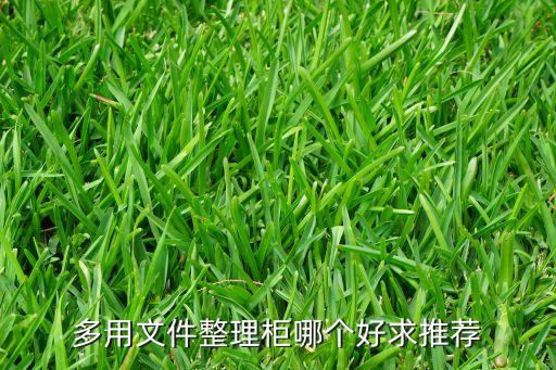 多用文件整理柜哪个好求推荐
