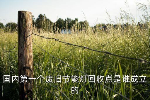 国内第一个废旧节能灯回收点是谁成立的
