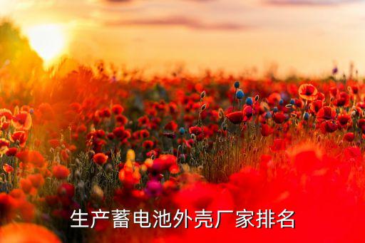 生产蓄电池外壳厂家排名