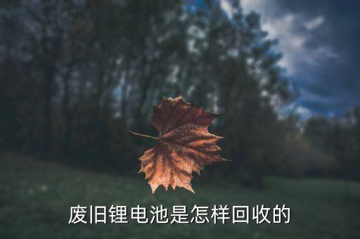 废旧锂电池是怎样回收的