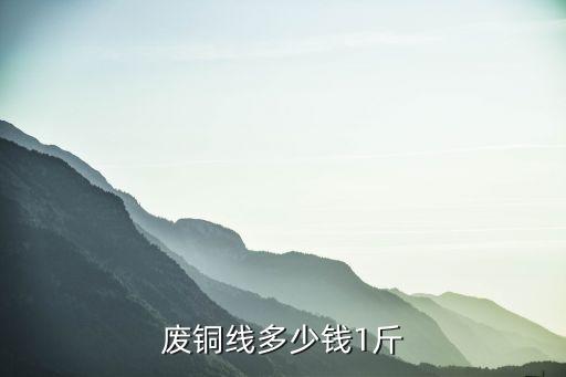 废铜线多少钱1斤