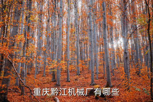 重庆黔江机械厂有哪些