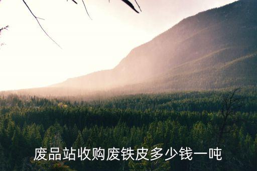 废品站收购废铁皮多少钱一吨