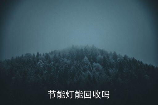 节能灯能回收吗