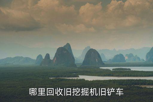 哪里回收旧挖掘机旧铲车