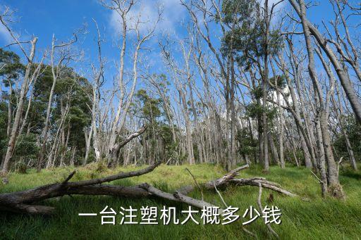 塑料制品注塑机价格，一台注塑机大概多少钱