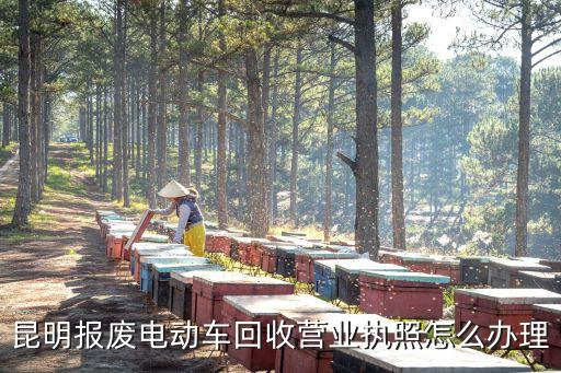 昆明报废电动车回收营业执照怎么办理