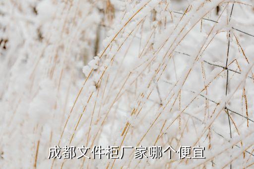 文件柜子，多用文件整理柜哪个好求推荐