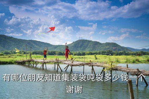有哪位朋友知道集装袋吨袋多少钱一个谢谢