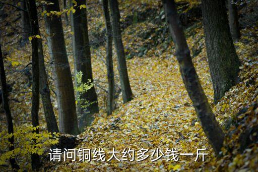 请问铜线大约多少钱一斤