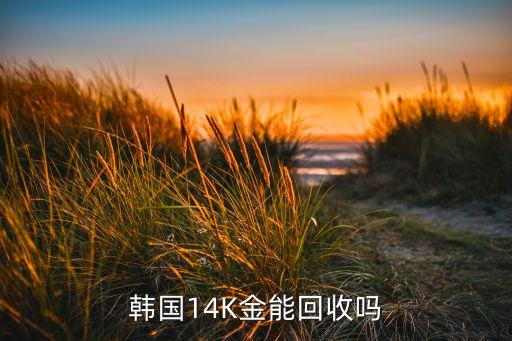 韩国14K金能回收吗