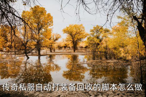 传奇私服自动打装备回收的脚本怎么做