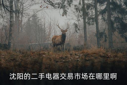 沈阳的二手电器交易市场在哪里啊