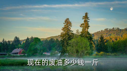 现在的废油多少钱一斤