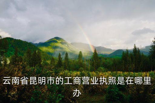 云南省昆明市的工商营业执照是在哪里办
