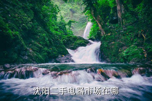 沈阳二手电器市场在哪