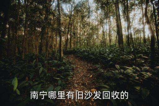 南宁哪里有旧沙发回收的