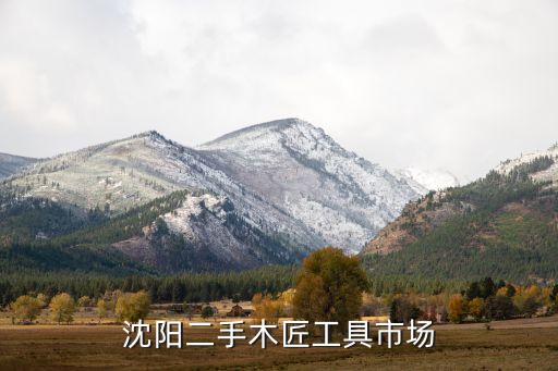 沈阳二手木匠工具市场
