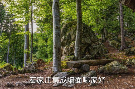 石家庄集成墙面哪家好