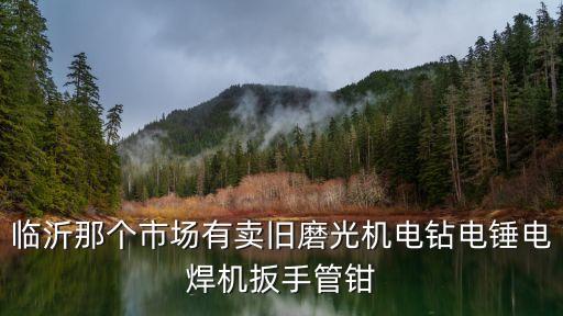 临沂那个市场有卖旧磨光机电钻电锤电焊机扳手管钳