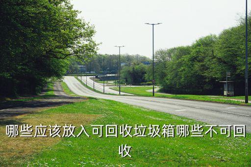 哪些应该放入可回收垃圾箱哪些不可回收