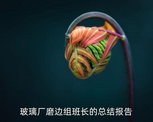 玻璃厂磨边组班长的总结报告