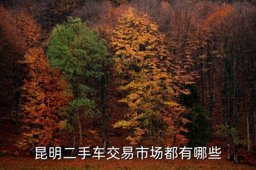 二手车回收市场，广州二手车交易市场在哪里