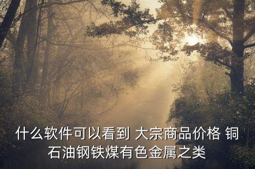 什么软件可以看到 大宗商品价格 铜石油钢铁煤有色金属之类