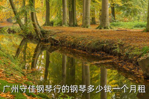 广州守佳钢琴行的钢琴多少钱一个月租