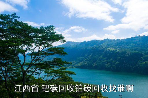 江西省 钯碳回收铂碳回收找谁啊