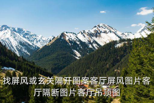找屏风或玄关隔开图案客厅屏风图片客厅隔断图片客厅吊顶图