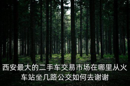 西安最大的二手车交易市场在哪里从火车站坐几路公交如何去谢谢