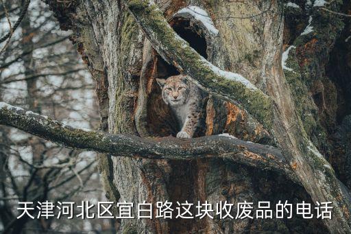 天津河北区宜白路这块收废品的电话