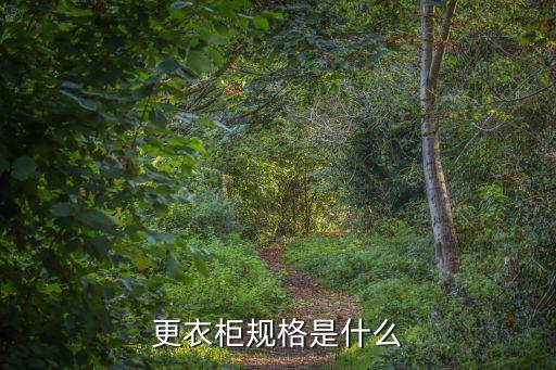钢制四门更衣柜图片，员工更衣柜尺寸通常是怎么样的