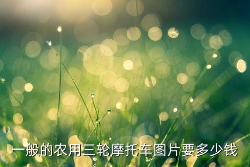 一般的农用三轮摩托车图片要多少钱