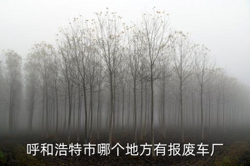 呼和浩特市哪个地方有报废车厂